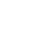 Vector